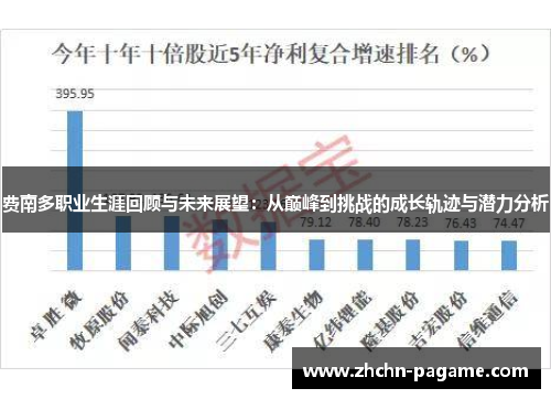 费南多职业生涯回顾与未来展望：从巅峰到挑战的成长轨迹与潜力分析